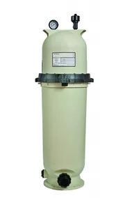 Pentair Clean and Clear RP cartridge pool filter