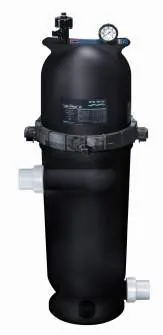 Pentair Posi-Clear RP cartridge pool filter