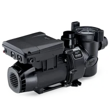 Variable speed pump